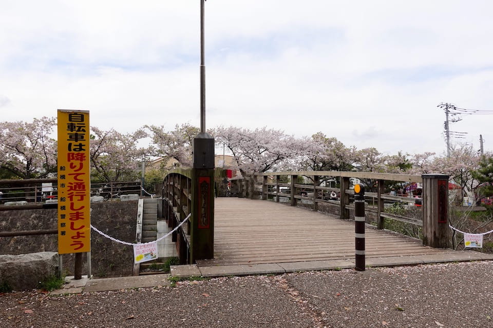 船橋の桜 海老川のお花見 鷹匠橋